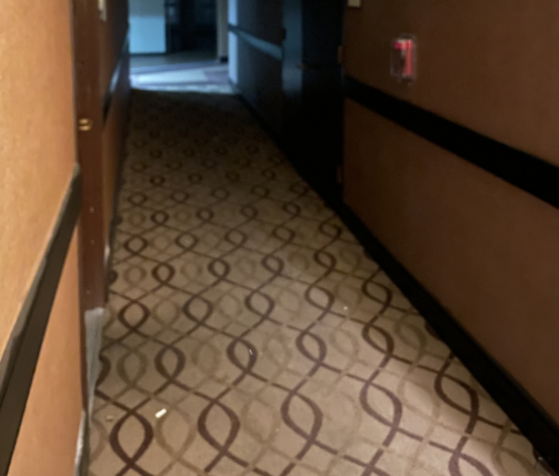 carpetpattern-crazynightout.png